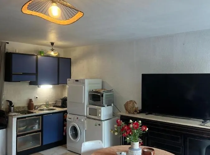 Lägenhet Le Patio De Monaco Saint-Tropez